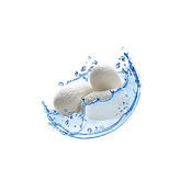 شامپو روزانه ۳۵۰ml اکتیو